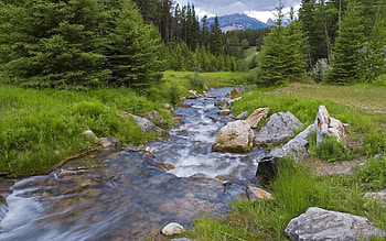 Nature, Rivers, Mountains, Forest, Greens, Flow, Stream HD wallpaper
