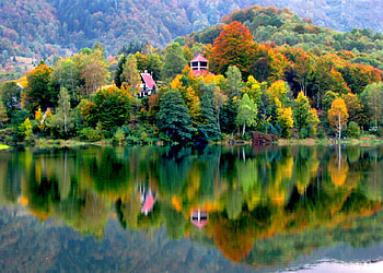 Trees Reflection, reflection, , trees, beautiful, lake HD wallpaper