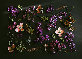 Colorful, many flowers HD wallpaper