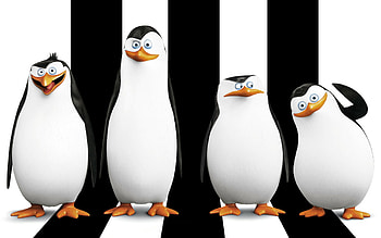 Madagascar, Penguins of Madagascar, Movie , Animated film HD wallpaper
