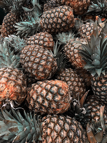 Fruits, Food, Leaves, Tropical, Pineapple HD phone wallpaper