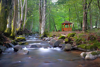 Cool Stream, cool, beautiful, , stream HD wallpaper