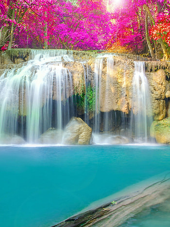 Thailand's park beauty, Waterfall wall art, Serene nature's allure, Stunning scenery HD phone wallpaper