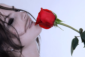 Rose, sexy, girl, model HD wallpaper