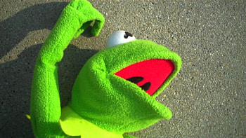 Kermit the Frog HD wallpaper