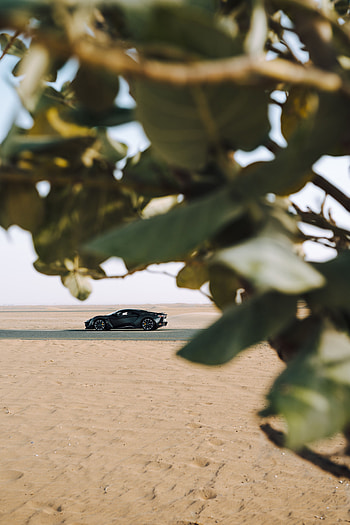 Sports, Leaves, Sand, Cars, Car, Branches, Sports Car HD phone wallpaper