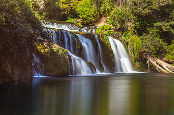 Nature, Waterfall, Branches, Flow, Stream HD wallpaper