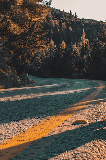 Nature, Trees, Road, Turn, Asphalt, Slope HD phone wallpaper