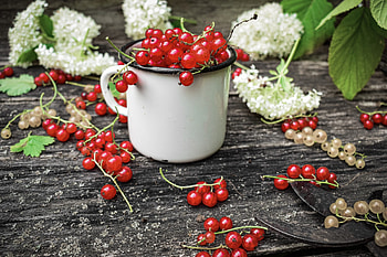 Currants, , Background HD wallpaper