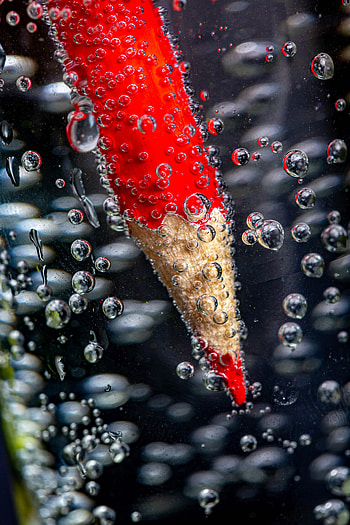 Water, Bubbles, Miscellanea, Miscellaneous, Pencil HD phone wallpaper