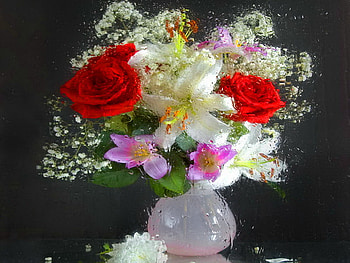 Still life, white, roses, vase, beautiful, lili, nice, pretty, red, flowers, lovely HD wallpaper
