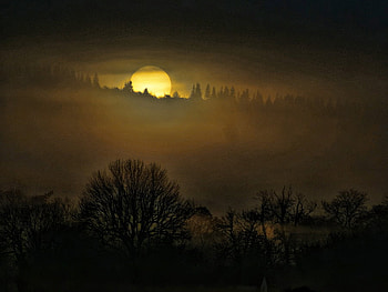 Sun at dawn, colors, sunrise, fog, interesting, trees, sun, places, grey, sunsets, silhouettes, mists, dawn, light, yellow, mysterious, clouds, nature HD wallpaper