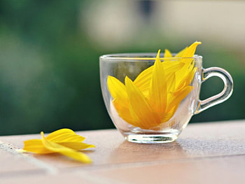 Yellow petals, glass, petals, yellow, flower HD wallpaper
