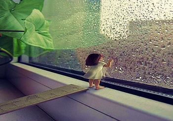 That's a big storm, plant, rain, window, ruler, tiny girl, drops HD wallpaper