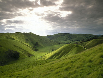 Green fields , fields, green HD wallpaper