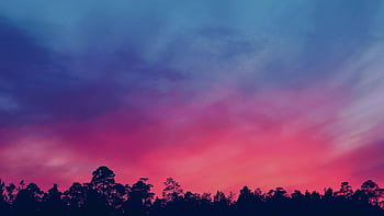 Beautiful silhouette of trees with a vibrant pink and blue twilight sky. HD wallpaper