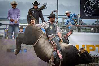 Martinborough Parklee Bullride, Bullriding HD wallpaper
