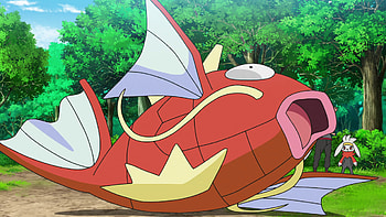 Pokmon Magikarp evolution, Fascinating trivia, Pokmon knowledge, Evolutionary stages HD wallpaper