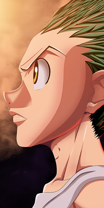 Gon css, Anime, Hunter x Hunter HD phone wallpaper