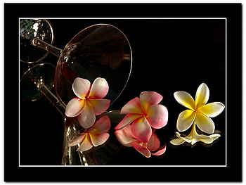still life 1, art , glass, nature, flowers, nice HD wallpaper