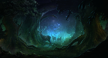 Magic, Art, Night, Deers, Lights, Forest HD wallpaper