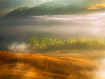 Rolling mists, mist, hills, field, green, trees, gold HD wallpaper