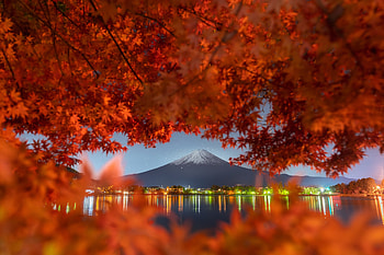 Mountain Fuji with red maple in Autumn, Japan, Fuji, Autumn, Branches, Nature HD wallpaper