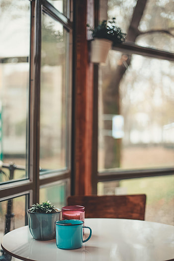 Windows, Cups, Miscellanea, Miscellaneous, Table, Room, Houseplant, Indoor Plant HD phone wallpaper