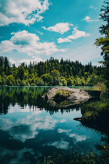 Nature, Rivers, Trees, Grass, Rock, Forest, Stone HD phone wallpaper