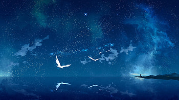 Anime - Scenic Sky Bird Starry Sky HD wallpaper