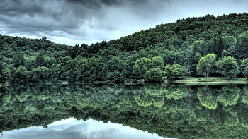 Landscape, Rivers, Trees HD wallpaper