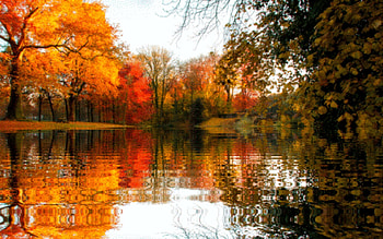 Autumn Rivers, Trees, Water, Rivers, Reflection, Colorful, Autumn HD wallpaper