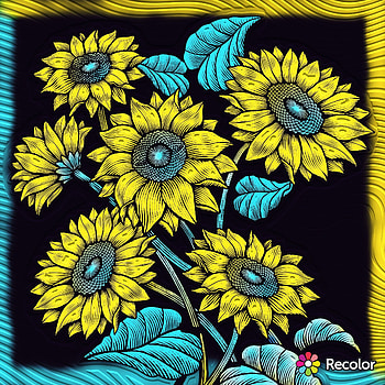 Praying for Ukraine, art, petal HD phone wallpaper