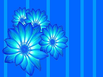 104626dgqak3j .jpg, girly, neon, pretty HD wallpaper