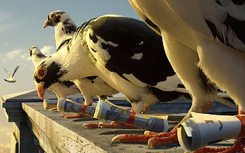 Funny, Animals, Birds, Pigeons, Money HD wallpaper