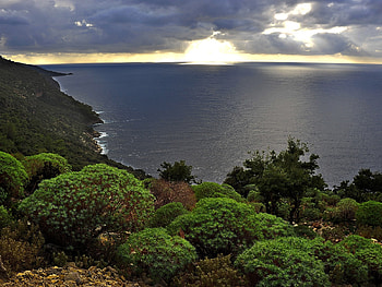 Sea Sunset, sea, landscape, clouds, trees, nature, forest, sunset HD wallpaper