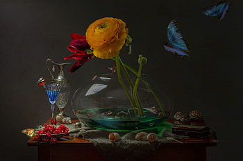 Ranunculus, Flowers, Butterfly, Tulips, Bouquet HD wallpaper