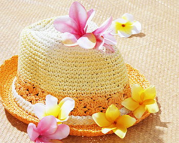 For summer, flowers, hat, plumera, petals HD wallpaper