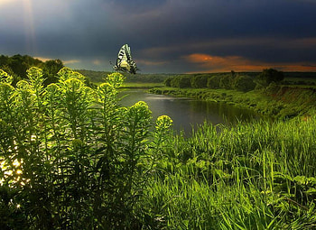 Sunset, butterfly, sky, nature, lake HD wallpaper