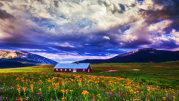 Crested Butte Morning Storm, Colorado, wildflowers, hills, clouds, landscape, sky, usa HD wallpaper