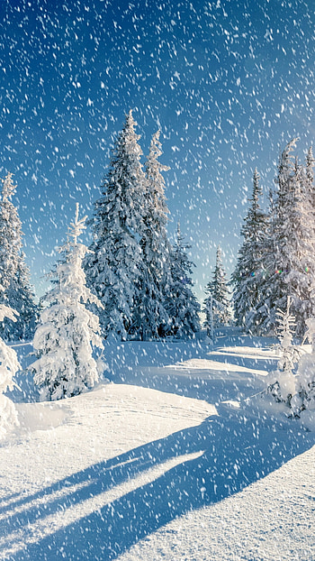 Snow, Winter Snowfall HD phone wallpaper