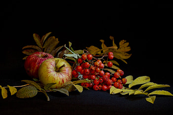 Food, Leaves, Apples, Still Life, Rowan HD wallpaper