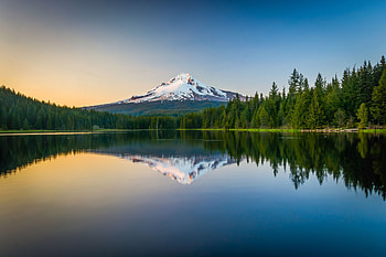 Lake Reflection, Lake, nature, reflection, tree HD wallpaper