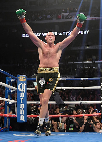 Tyson Fury, Combat Sports HD phone wallpaper