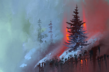Art, Paint, Break, Precipice, Fir, Spruce, Roots HD wallpaper