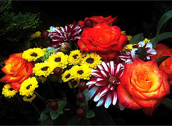 Colorful Flowers, colorful, beautiful, flowers HD wallpaper