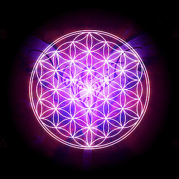 Flower Of Life Flower of life HD phone wallpaper