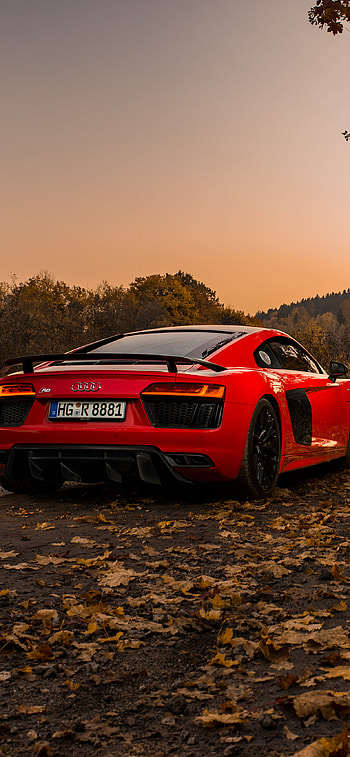 Audi RS8, Sporty elegance, Powerful performance, Premium automotive excellence HD phone wallpaper
