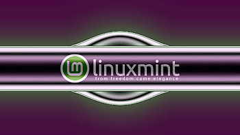 Linux Mint, Technology, Linux HD wallpaper