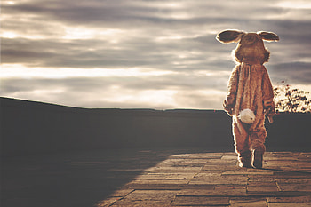 Person In Bunny Costume Walking Forward, costumes, bunny, graphy HD wallpaper